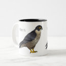 Search for peregrine mugs Bird