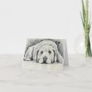 Search for golden retriever note cards Puppy