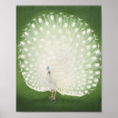 Search for japanese peacock art Animal