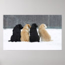 Search for four posters Snow