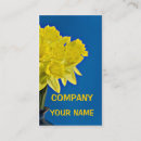 Search for dafodil Floral