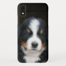 Search for berner iphone cases Dog