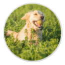 Search for dogs knobs and pulls For pets