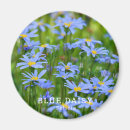 Search for daisy blue magnets Flower