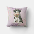 Search for border collie cushions Puppy