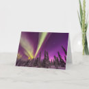 Search for aurora borealis northern lights cards Forest
