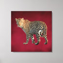 Search for wild cat canvas prints Wildlife