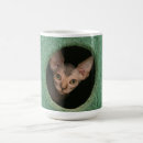 Search for funny sphynx mugs Sphinx