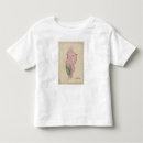 Search for amazons tshirts Peru