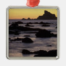 Search for olympic national park christmas tree decorations Sunset