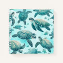 Search for turtle notebooks Sea life