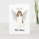 Search for springer spaniel cards Liver