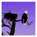 Search for original eagle posters Bald