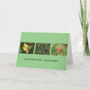 Search for daffodil note cards Nature
