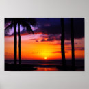 Search for hawaiian sunset posters Paradise