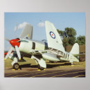 Search for caf posters Blue