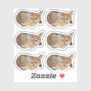 Search for white tail deer stickers Fawn