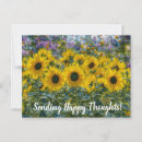 Search for sunflower lover postcards Nature