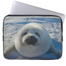 Search for young electronics Animal wildlife