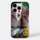 Search for cuddly Cute