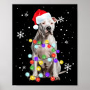 Search for pitbull posters Lights