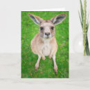 Search for getty cards Nature
