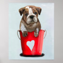 Search for bucket posters Buckets of love