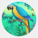 Search for blue and gold macaw stickers Parrot