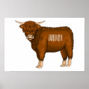 Search for highland cow posters Beef