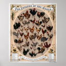 Search for poultry posters Vintage