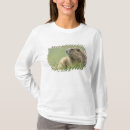 Search for marmot tshirts Mountain