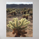 Search for joshua tree posters Cactus