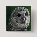 Search for bar square badges Usa