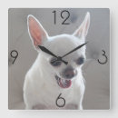Search for chihuahua clocks Wall
