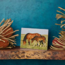 Search for wild plaques Superstock