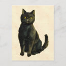 Search for victorian cat postcards Black