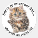 Search for pet me stickers Kitten