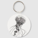 Search for chrysaora Jellyfish