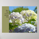 Search for blue hydrangeas art Nature