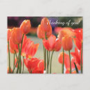 Search for think spring postcards Thinking of you