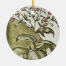 Search for tobacco christmas tree decorations School