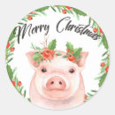 Search for small pig stickers Cute