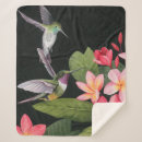 Search for hummingbird blankets Birds