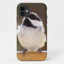 Search for chickadee iphone cases Black