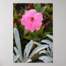 Search for wet posters Flowers