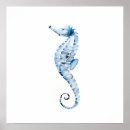 Search for marine creatures posters Nautical