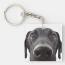Search for labrador key rings Animal