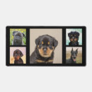 Search for rottweilers electronics Pets