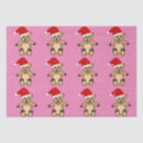 Search for bear pattern tissue paper Pink