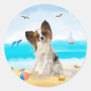 Search for papillon dog stickers Pet